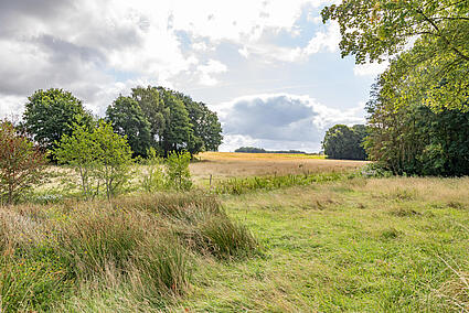 Straßenansicht Sommer- und Winterweide_KBR_859